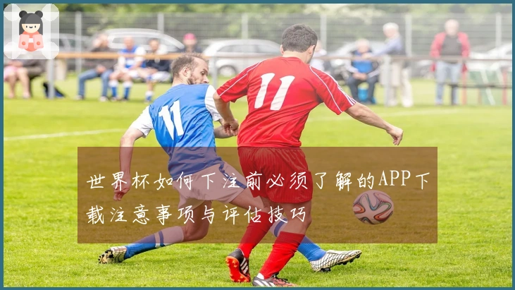 世界杯如何下注前必须了解的APP下载注意事项与评估技巧